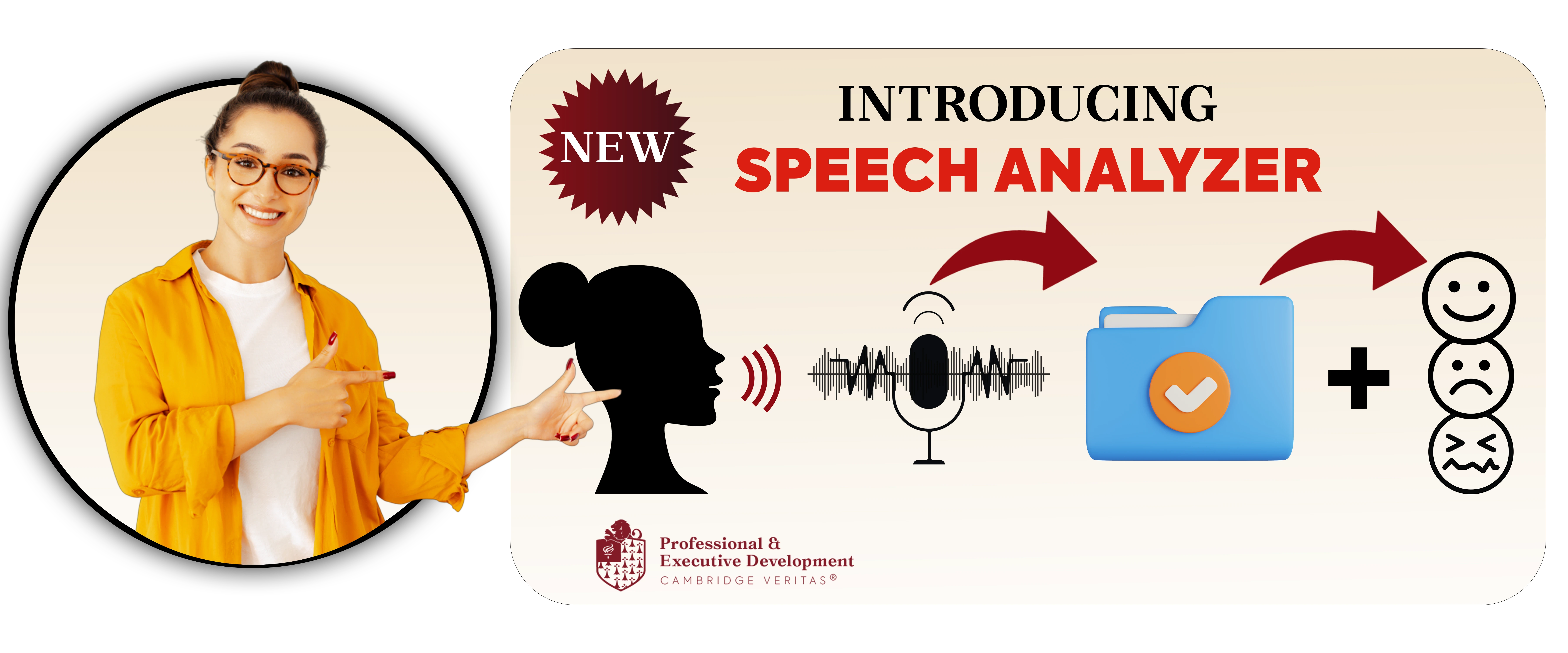 Speech Analyser